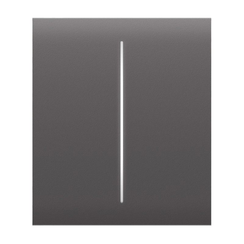 Кнопка Ajax CenterButton (2-gang) grey для двухклавишного выключателя