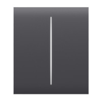 Кнопка Ajax CenterButton (2-gang) graphite для двухклавишного выключателя