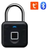 Via Security VL-1F/TB со считывателем отпечатка пальца Замок навесной