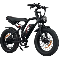 2E EB11 20" красно-черный Электровелосипед