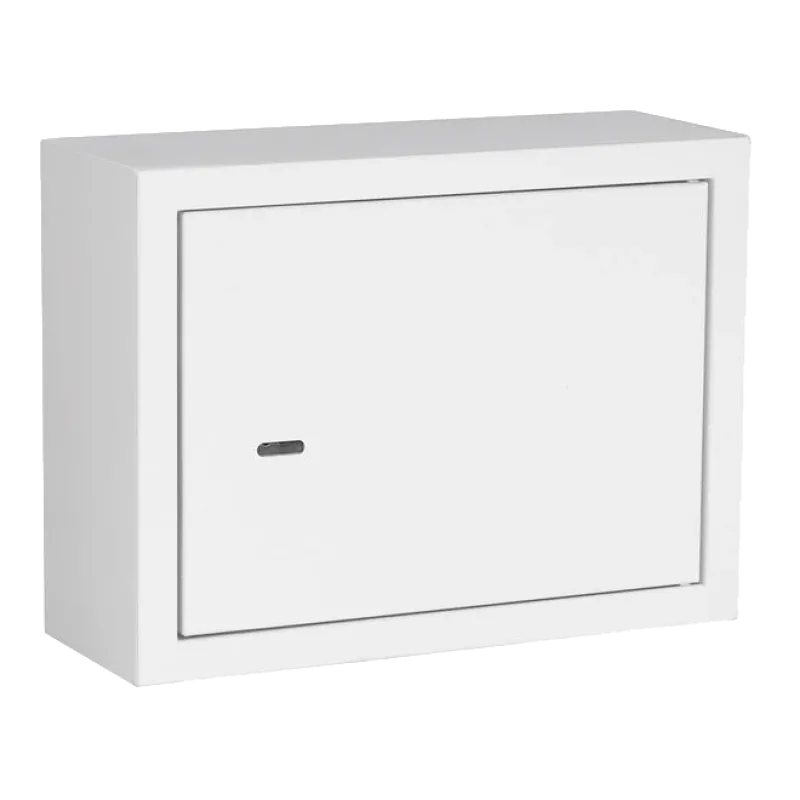 IPCOM БК-400-2 Антивандальный ящик петли (400х300х150)