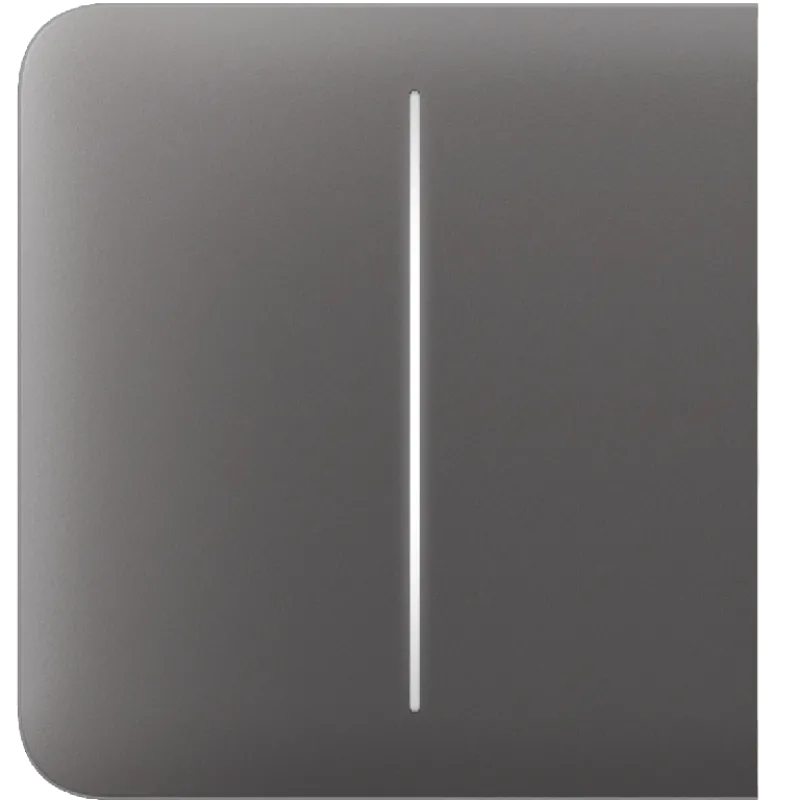 Ajax SideButton (2-gang) [55] grey Кнопка