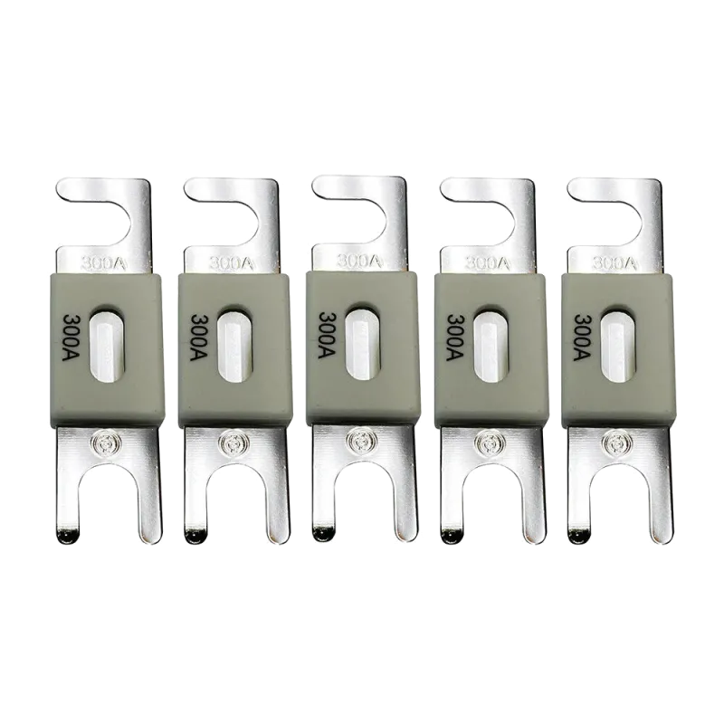 Victron Energy ANL-fuse 300A/80V (5 pc) Запобіжник
