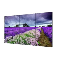 DS-2046NL-B LCD Display Unit