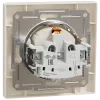 Schneider Electric Asfora EPH3100123 Розетка із кришкою, із заземленням