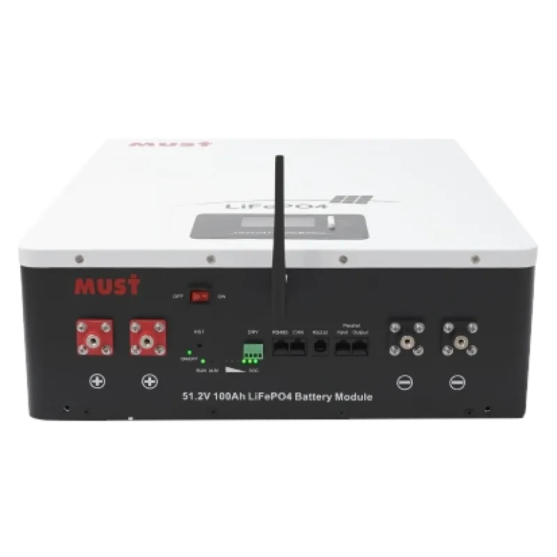 Must LP16-48100 51.2В 100А•г Літієва акумуляторна батарея
