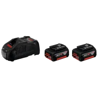 Bosch (1.600.A00.B8J) Набор аккумулятора 18 В 5,0 Ач + ЗУ