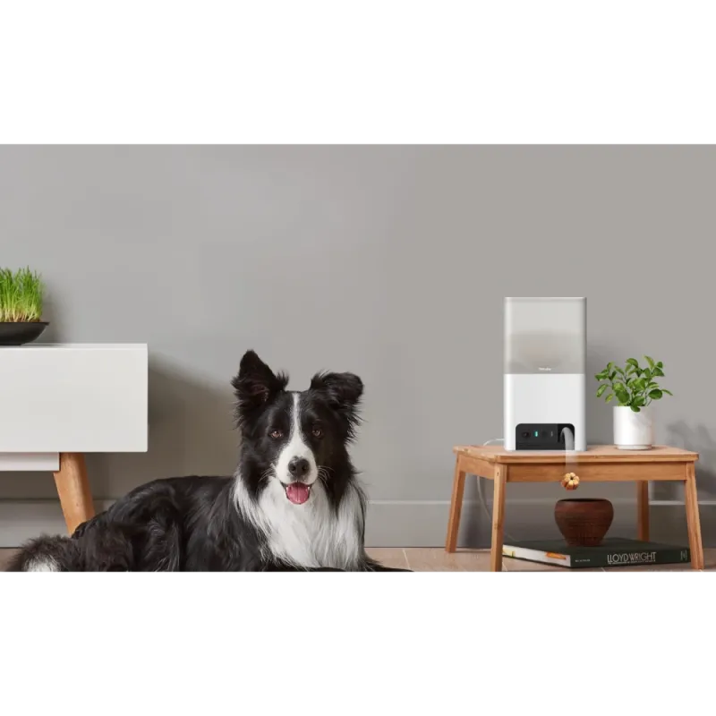 PETCUBE BITES 2 LITE BL10US IP камера